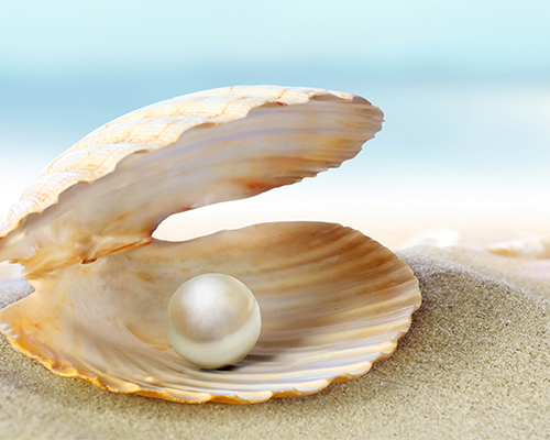 7803_pearl promo